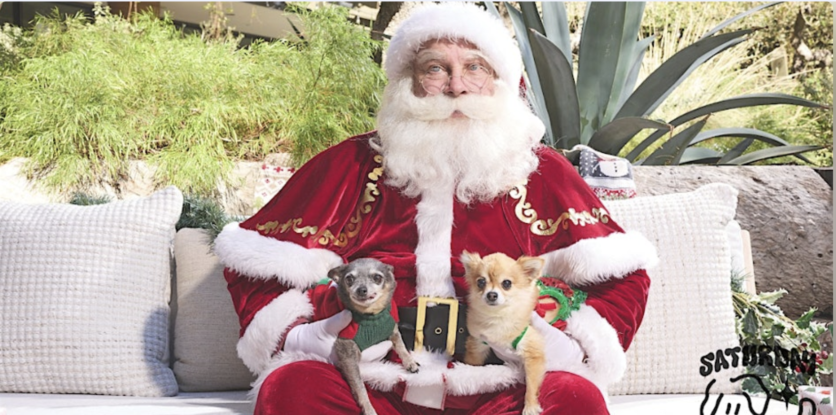 Saturday Dog Club’s Holiday Paw-ty